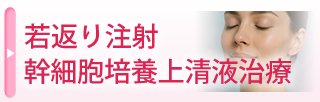 幹細胞培養上清液