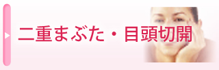 二重まぶた・目頭切開