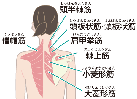 肩こりボトックス注射 | 診療科目 | <公式>あさひ美容外科