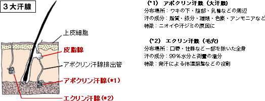 ワキガ を 治す 方法